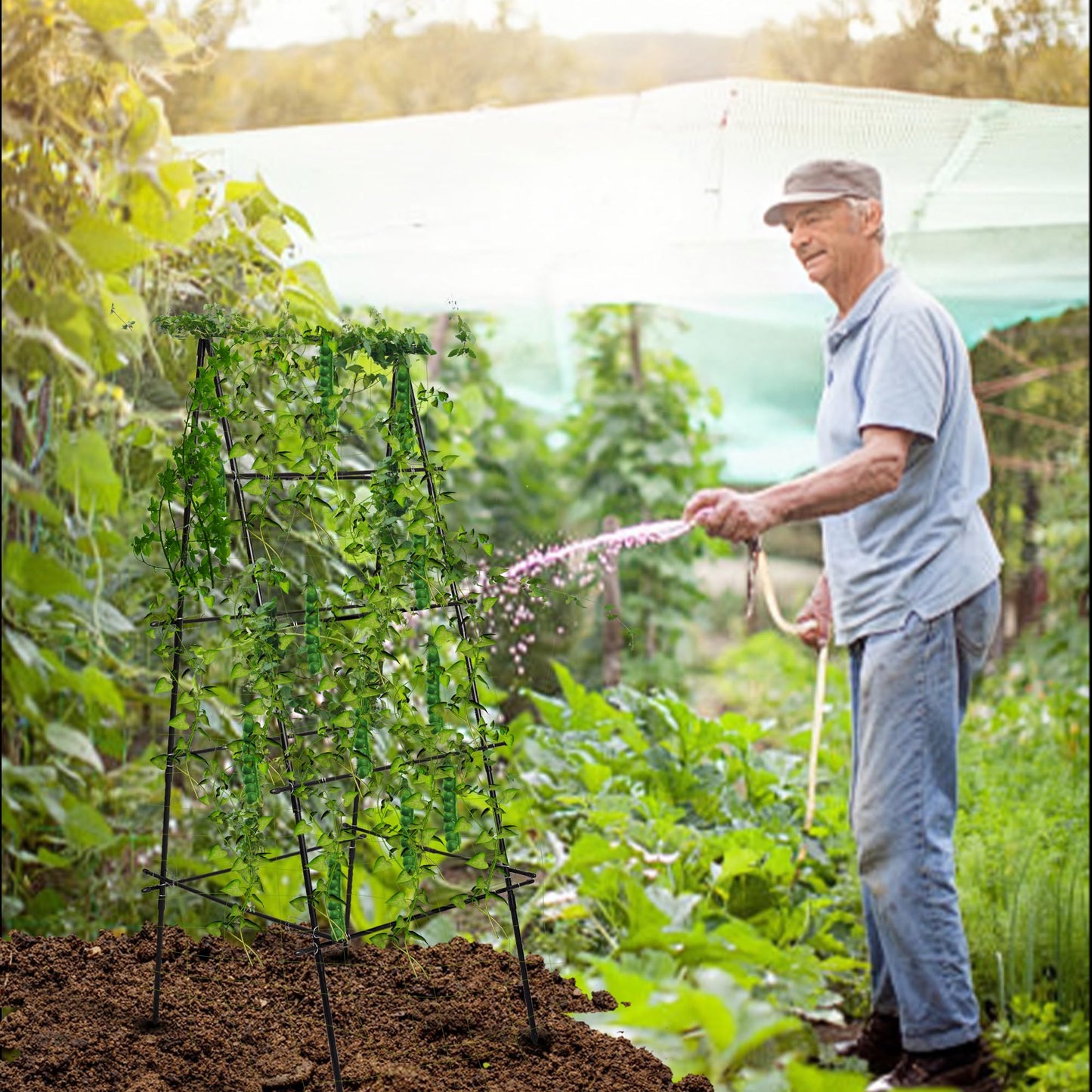 HPC Decor Cucumber Trellis for Raised Bed, 6 FT Tall Garden Trellis for Climbing Plant Outdoor, Metal A Frame Trellis with Climbing Net, Support for Vegetable, Grape, Tomato, Peas, Fruit, Vine.