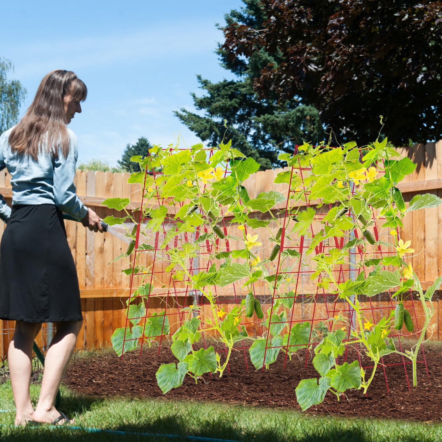 UrGROWA Cucumber Trellis 2 Pack, 59" H Foldable A-Frame Garden Trellis for Raised Bed Garden Grow Support with Plant Support Clips, Twist Ties for Cucumber,Tomato, Climbing Plants and Flowers