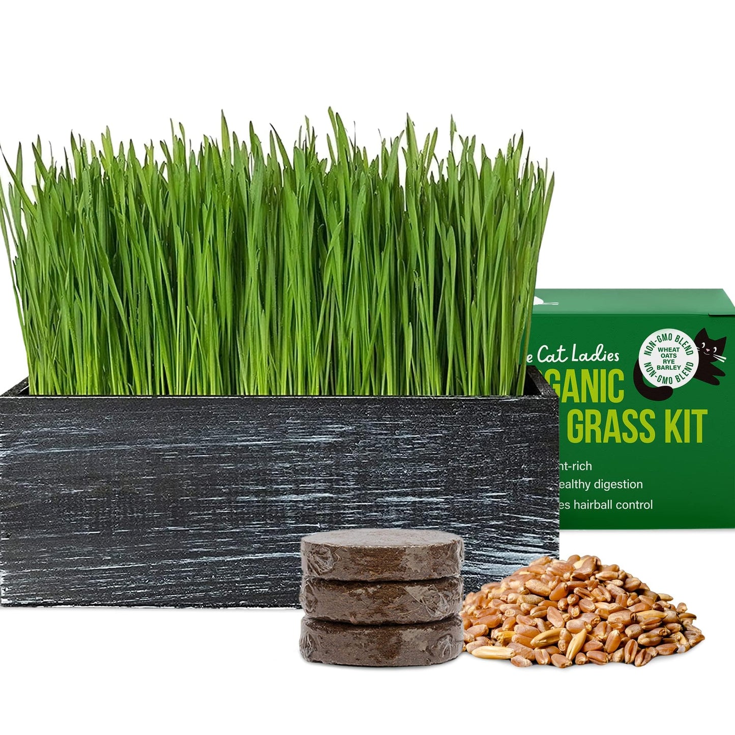 The Cat Ladies Cat Grass Kit with Black Rustic Wooden Planter, Organic Cat Grass Seeds and Soil. Easy to Grow Cat Grass for Indoor Cats. Prevent Hairballs and Aid Digestion