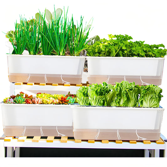 FAMZ Self Watering Pots for Indoor Plants 3 Pack Transparent Rectangular Planter, Vegetable Planters for Windowsill Patio Garden Balcony Home Porch Yard Indoor Outdoor, White