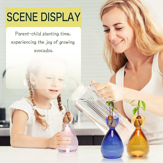 CYZglass Avocado Vase Avocado Seed Starter Vases Trees Live Plants Growing kit Glass 2pc