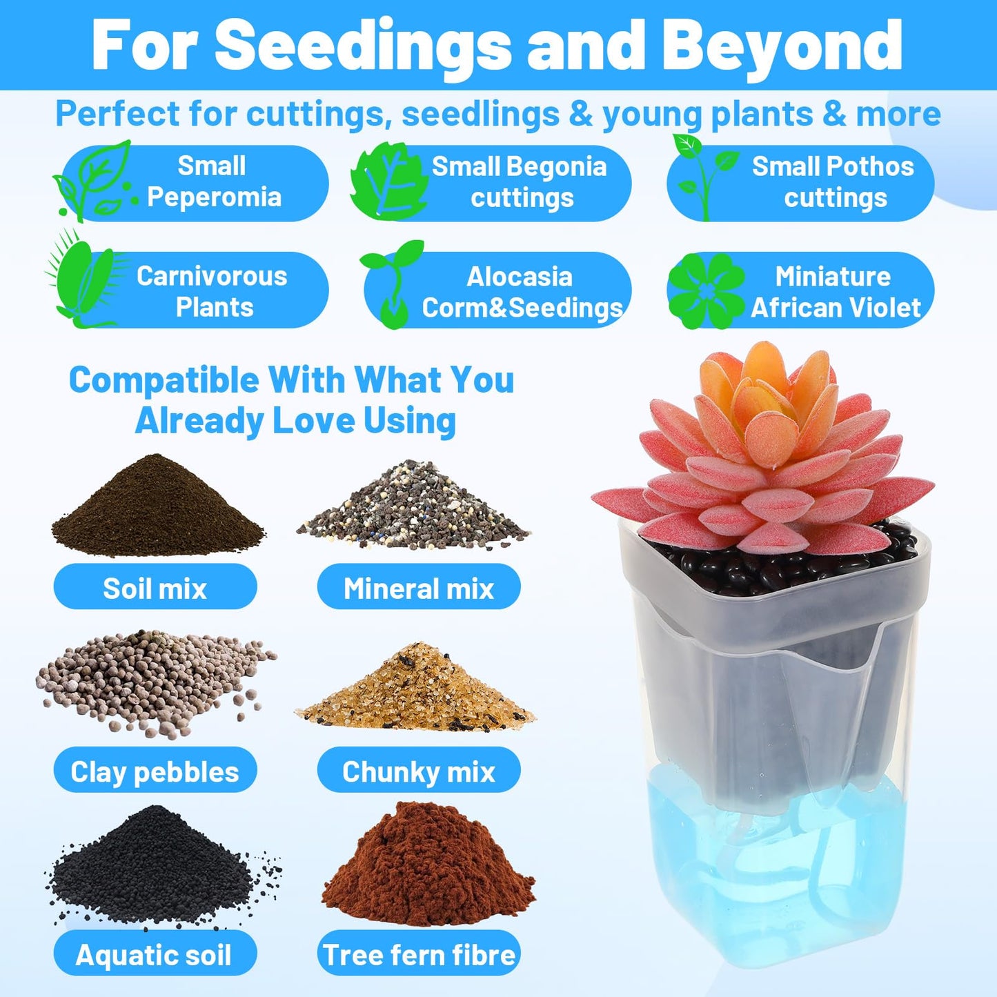 Douaowoc 20 Set 2.5 inch Small Self Watering Pots for Indoor Plants, Mini Clear Plastic Planters, Semi-Hydro, Propagation, Cuttings, Seedlings, Hoya, African Violets, Alocasia