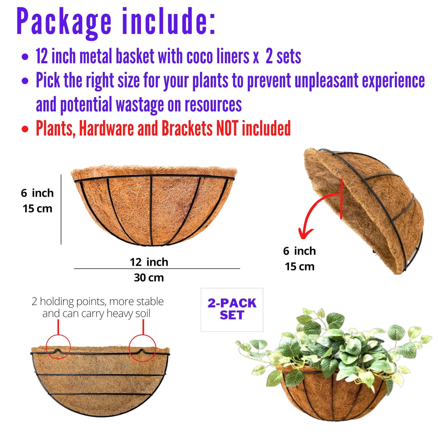 LaLaGreen Wall Hanging Planters, 2 Pack, 12 Inch Wall Mounted Flower Baskets with Coco Liner, Metal Iron Wire Plant Holder for Outdoor Window Box Herb Outside Fence Railing Deck Porch Balcony Garden