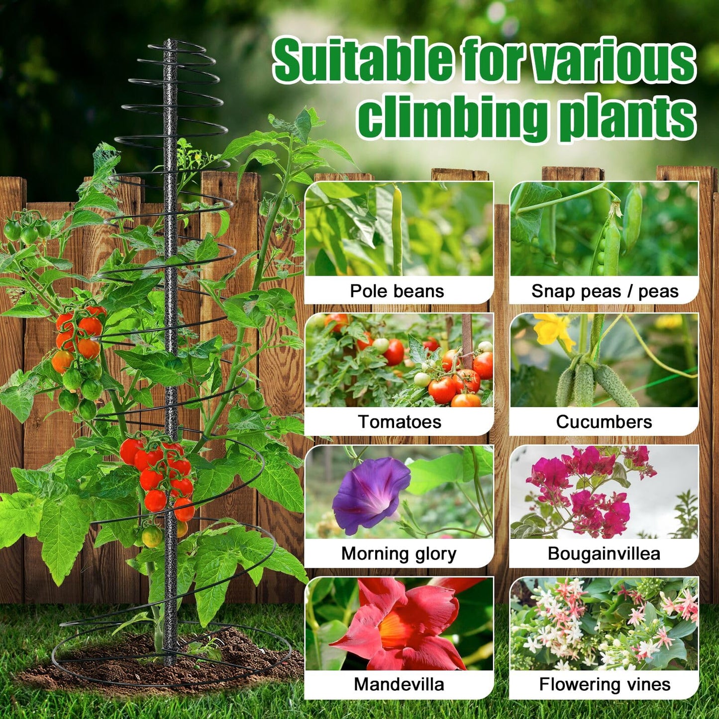 2 Pack Spiral Metal Garden Trellis for Climbing Plants Outdoor Indoor - 44" Adjustable Plant Support Tower with Center Pole, for Outdoor Garden, Raised Bed, Backyard, House Flower Pots & Planters