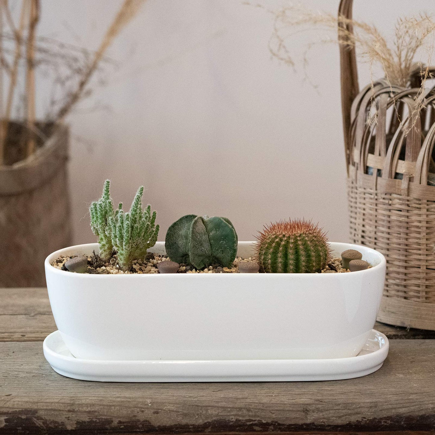 E-liu Oval Ceramic Planter Pot with Drainage Hole Saucers 11 Inch Succulents Planter Home Decor for Indoor Outdoor Plants Herb Cactus with 3 Mesh Pads, Plants Not Included