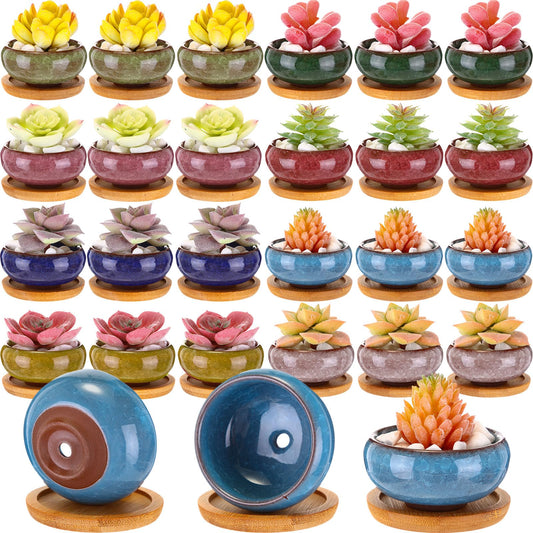 RimCereal 24 Pcs Small Succulent Pots with Drainage - 2.5 Inch Mini Ceramic Cactus Planters with Bamboo Saucers, 8 Colors Ice Crack Glaze Flower Pots for Plants, Home Office Desk Decor