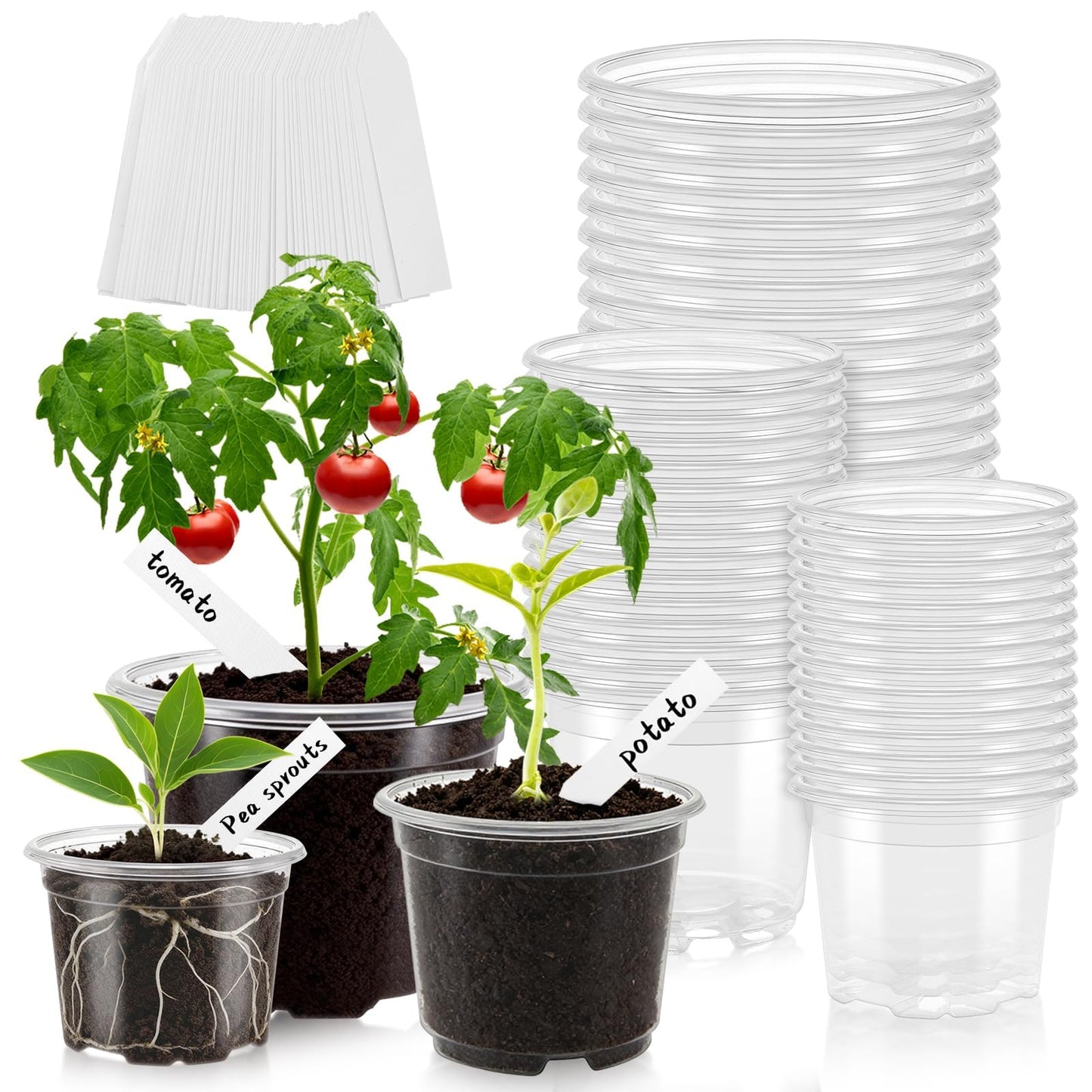 VOKOY 42 Pack 4/3/2.75 Inch Clear Nursery Pots with 50 Plant Labels, Clear Plant Pots with Drainage Hole Plastic Transparent Variety Pack Garden Flower Seedling Pots Small Planter Containers