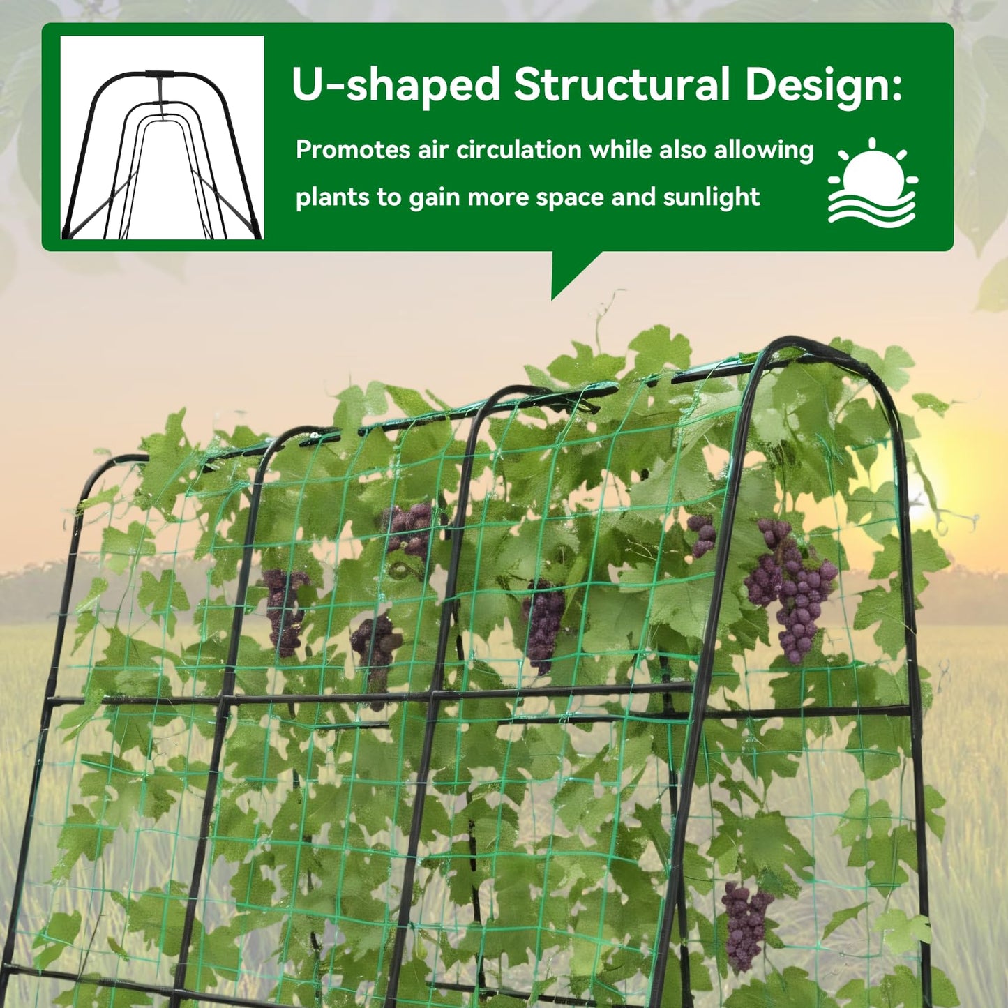 Trellume Cucumber Trellis - 62.4"*50" Cucumber Trellis for Raised Bed with Plastic-Coated Steel Pipe, U-Shape Garden Trellis for Climbing Plants, Garden Trellis for Cucumbers, Beans(Black)