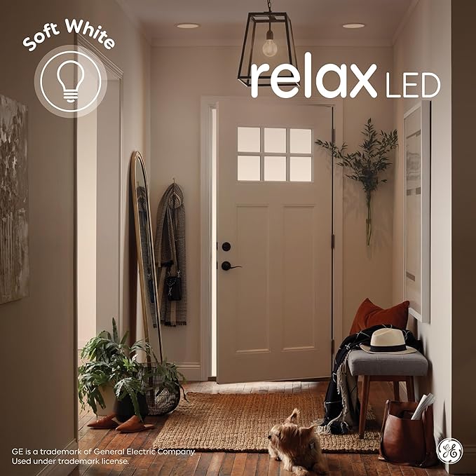 GE Relax HD LED Light Bulbs, A19 Soft White Light Bulbs, Dimmable LED Bulbs for Bedrooms, Family Rooms, Dining Rooms, and Entryways, 40-Watt Equivalent (24 Pack)
