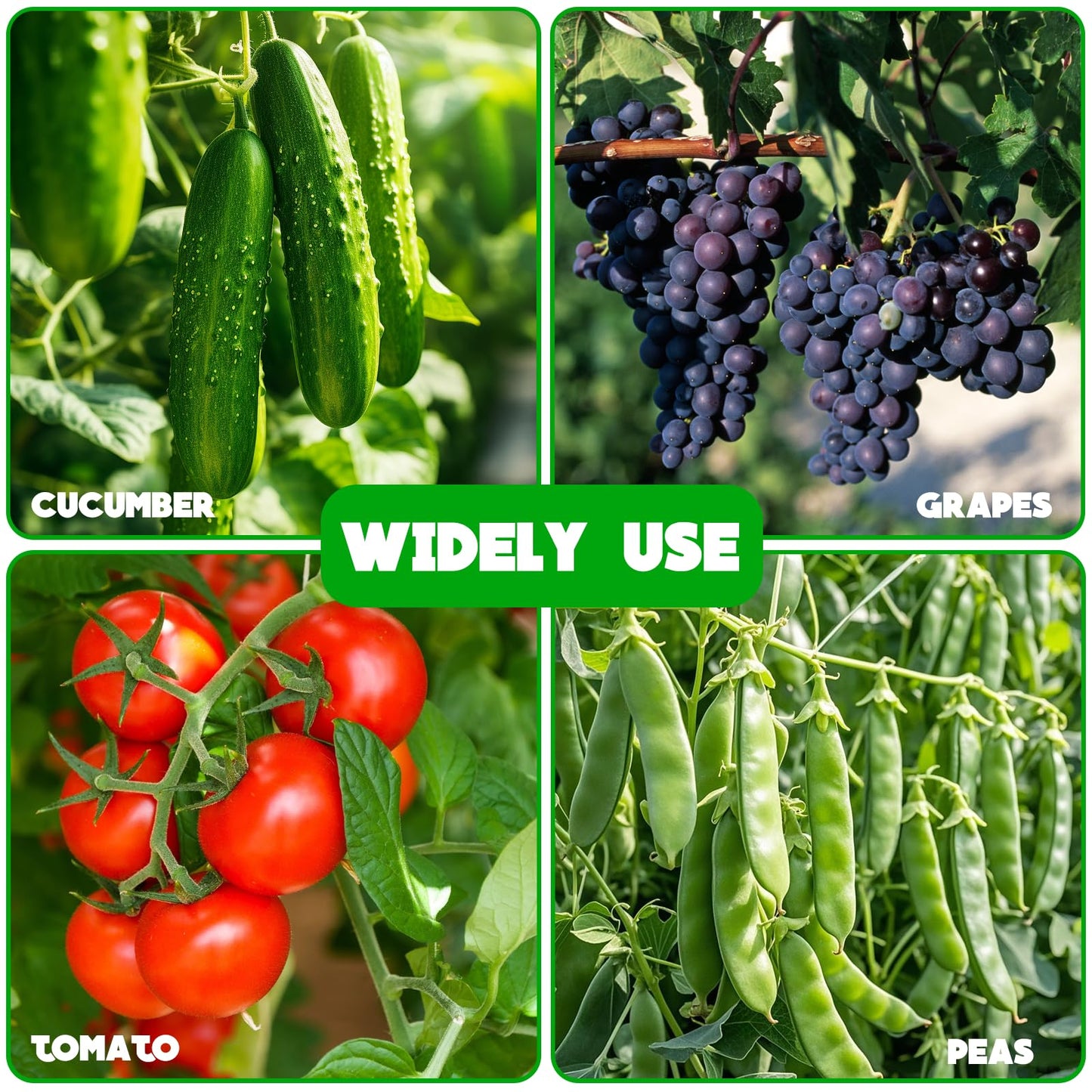 No Assembly Required Cucumber Trellis,2 Pack Trellis for Cucumbers,Outdoor Raised Bed Climbing Plant Support,A-Frame Garden Frame,Used for Vegetables,peas,Tomatoes,Squash,Melon and Fruit Frame