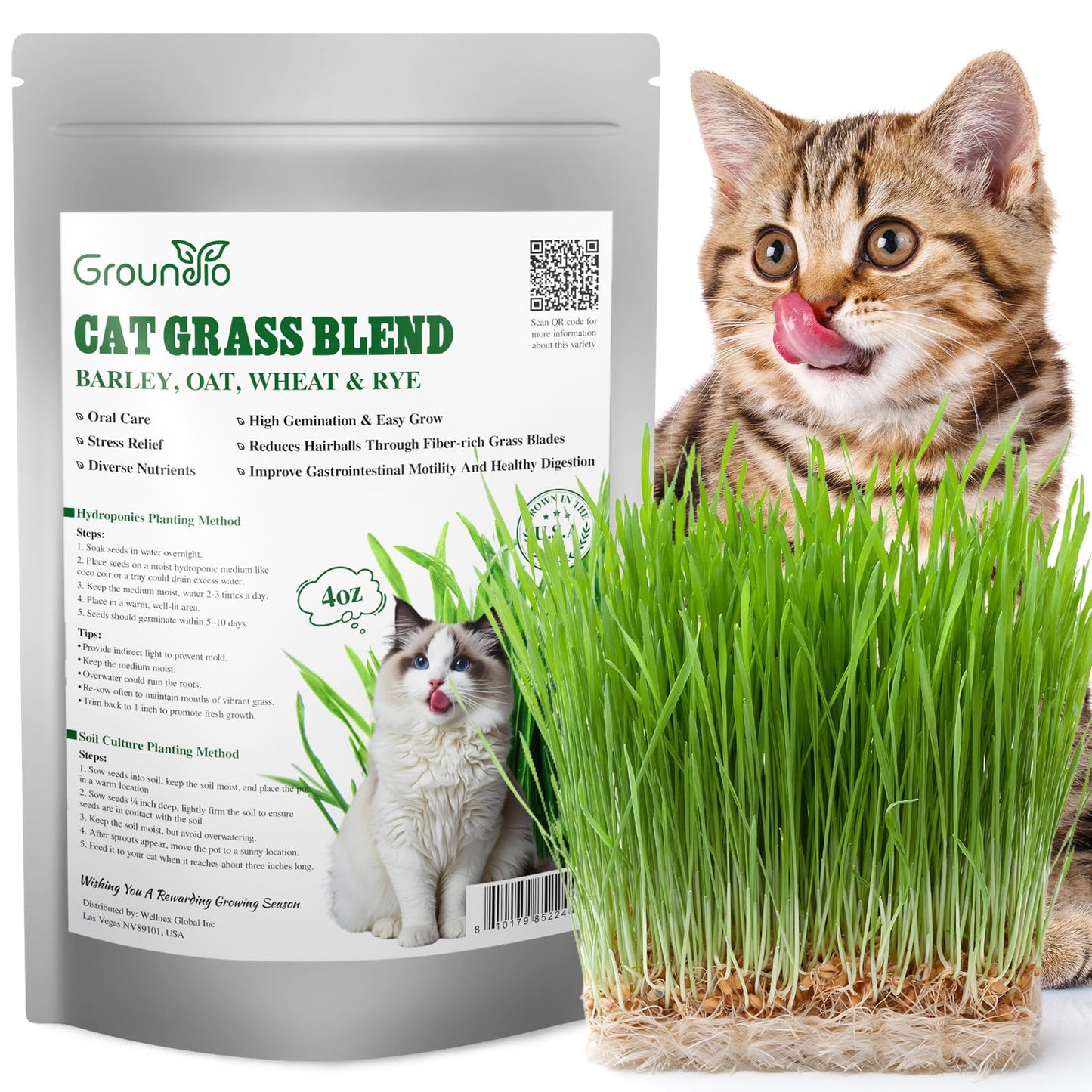Groundio Cat Grass Seeds, Barley, Oats, Wheat, Rye 4 Varieties, Non-GMO Fast Germinate in 4-7 Days, Sourced from USA for Indoor Cats, 4 Ounce