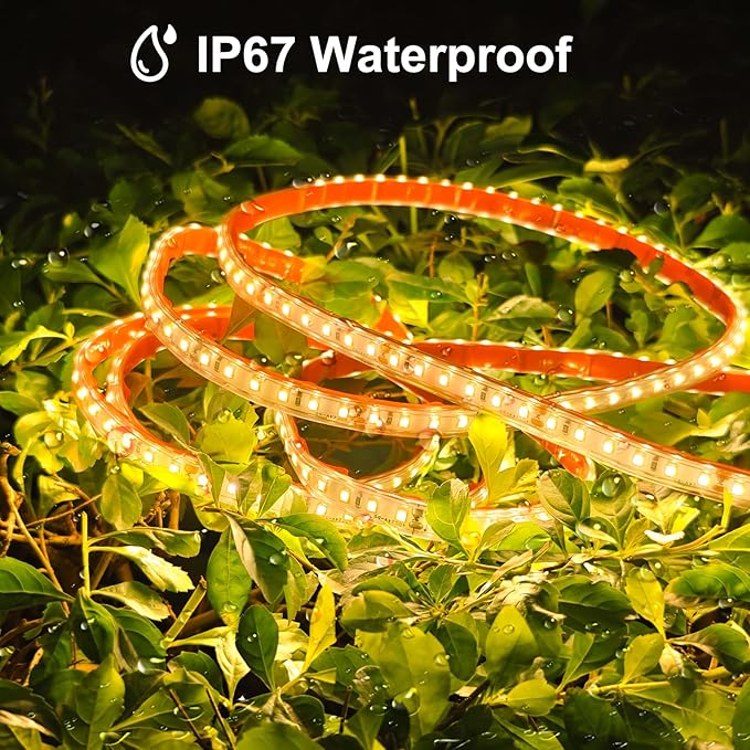 echosari 65.6Ft LED Strip Lights, 2700K Ultra-Bright Strip Lights with Timer Dimmable, 2400 LEDs Flexible Tape Lights Outdoor Waterproof Light Strip for Pool Pathway Balcony Patio (Warm White)