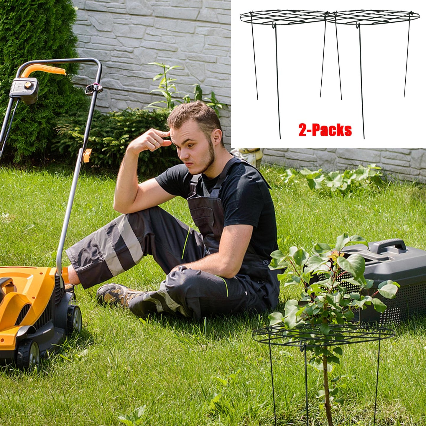 2 Pack Round Peony Cages and Supports Grow Through Grid Plant Brace,18 inch Heigh Plant Support Stake for Small Plant Flower Vegetable (2pcs 18“)