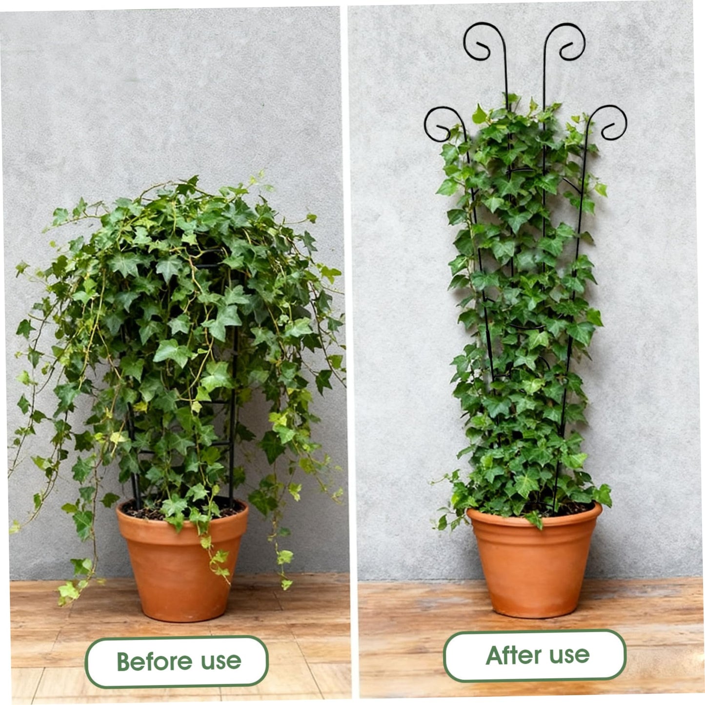 Trellis for Climbing Plants Indoor, 2 Pack Black Metal Trellis for Potted Plants, Adjustable Indoor Plant Support Monstera, Pothos, Ivy (32.7 Inch Tall) for Climbing