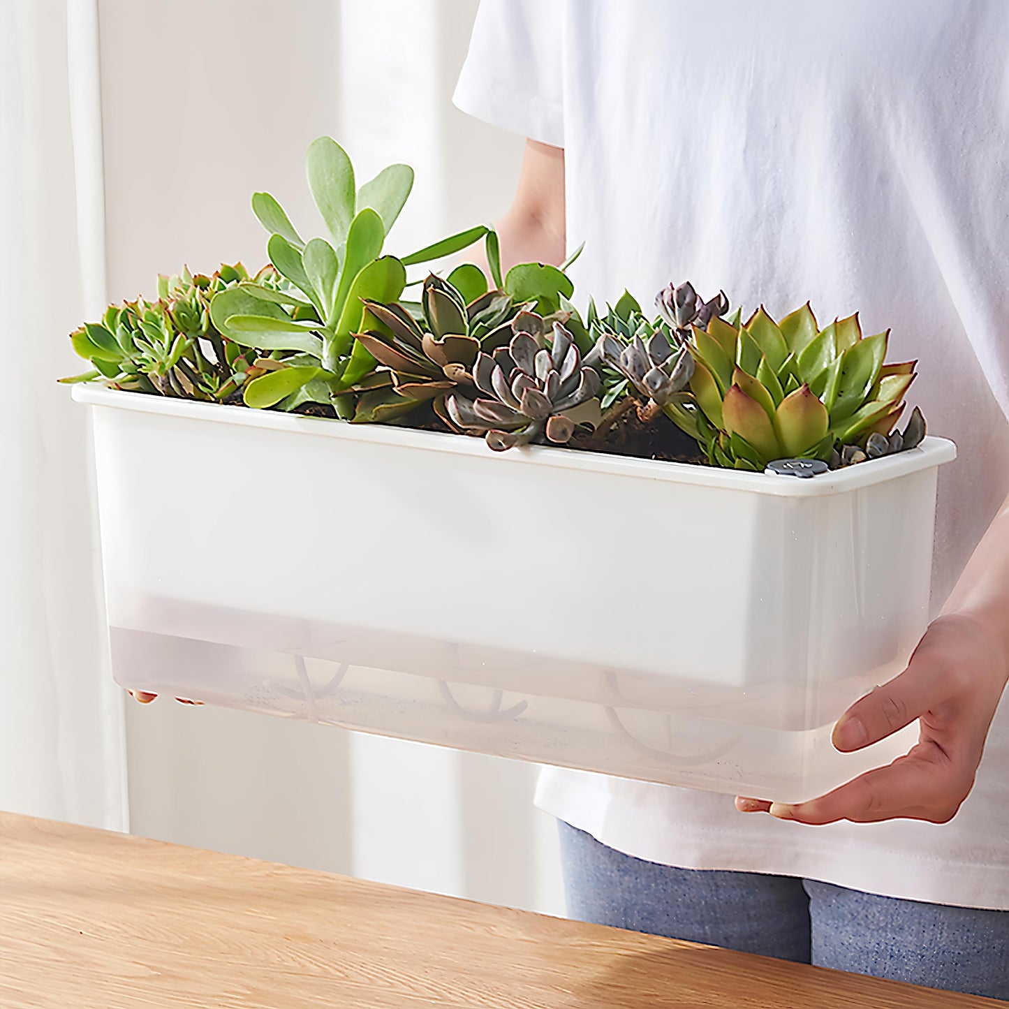 FAMZ Self Watering Pots for Indoor Plants 3 Pack Transparent Rectangular Planter, Vegetable Planters for Windowsill Patio Garden Balcony Home Porch Yard Indoor Outdoor, White