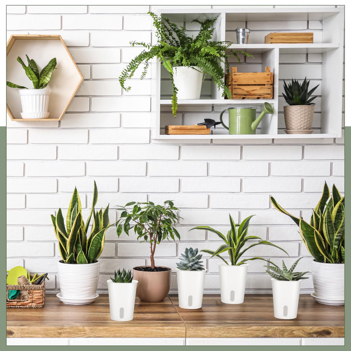 Ziliny 10 Pcs 3 Inch Self Watering Pots Self Watering Planters for Indoor Planters Plastic Garden Flower Pots with Level Indicator Vents for Herbs