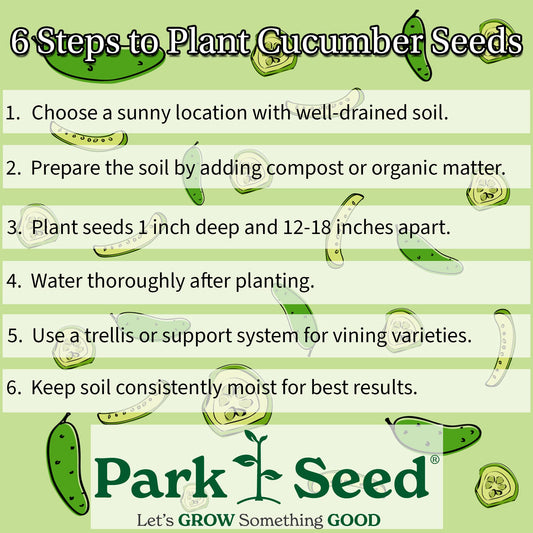 Park Seed Variety of Cucumber Seeds, Planting Cucumbers, Vegetable Seeds, Easy to Grow, Non-GMO, Perfect for Harvesting, Mini-Me F1 Organic, 2 x Pack of 10