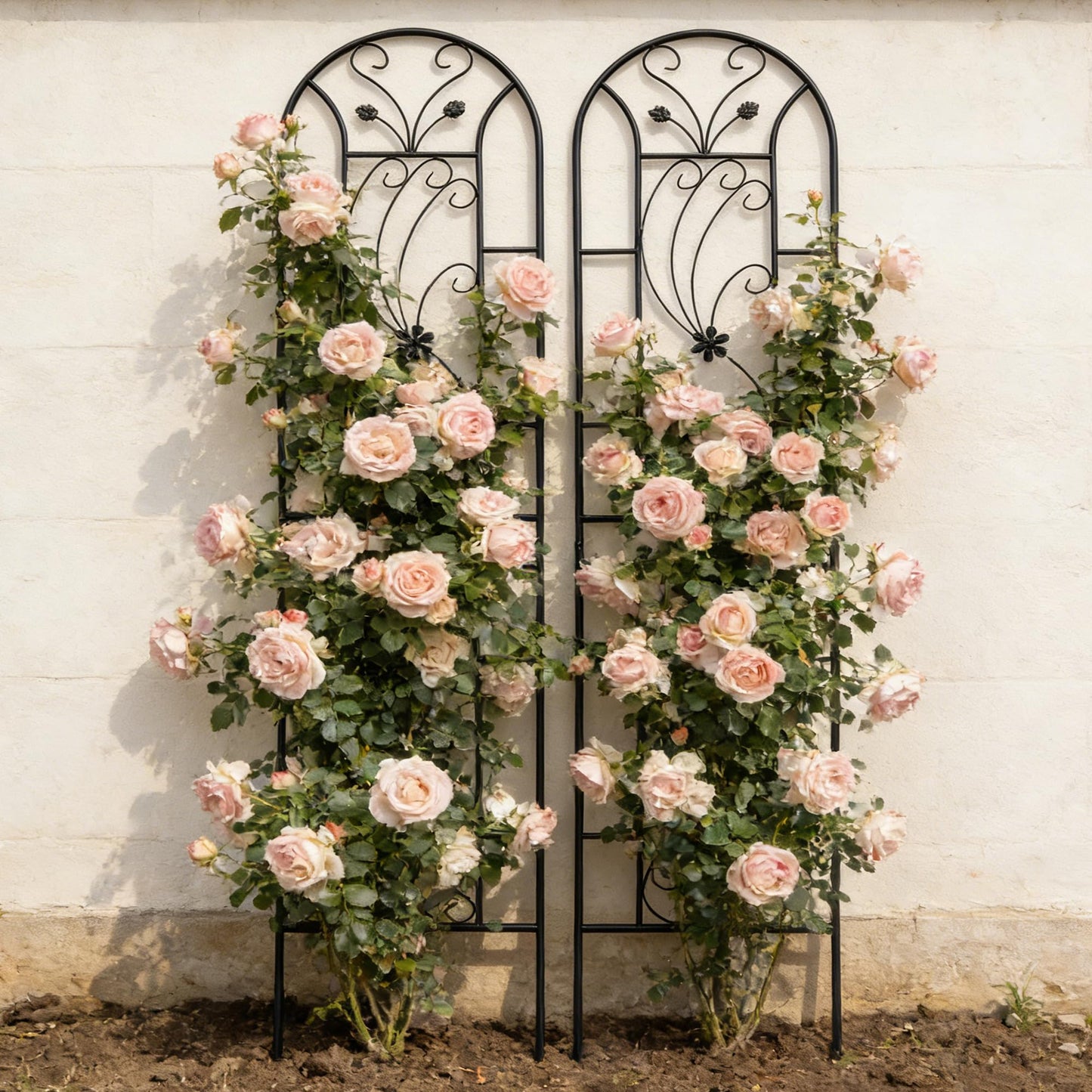 2 Pack Metal Garden Trellis 86.7"x19.7" – Rustproof Trellis for Climbing Plants Outdoor, Peacock Style Flower Support for Roses Ivy Vines, Black