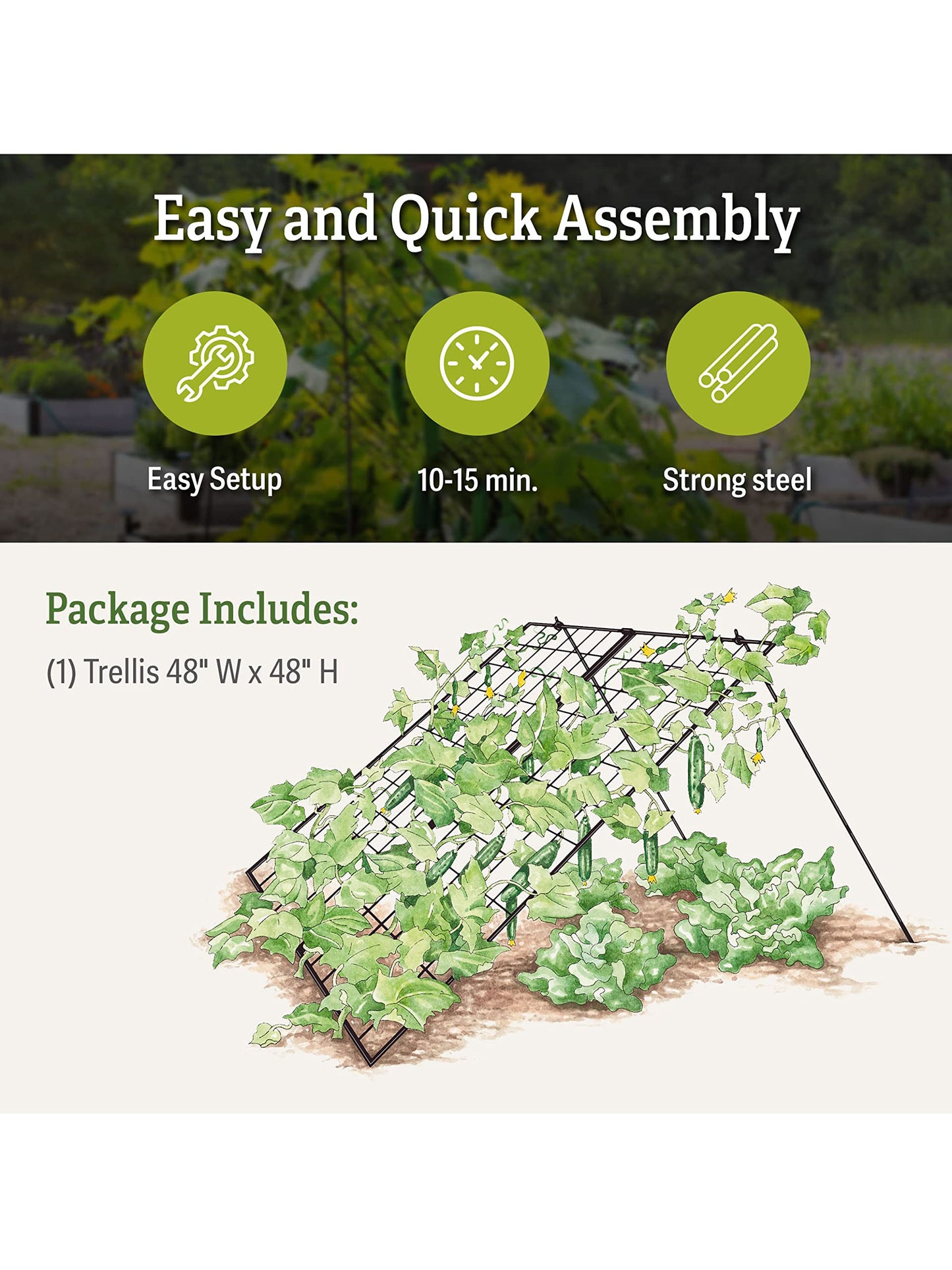 Gardeners Supply Company Sturdy Large Cucumber Trellis Support | Foldable Tough Metal Frame for Outdoor Climbing Plants Support | Best for Easy Harvesting and Easy Installation - 48" W x 48" H