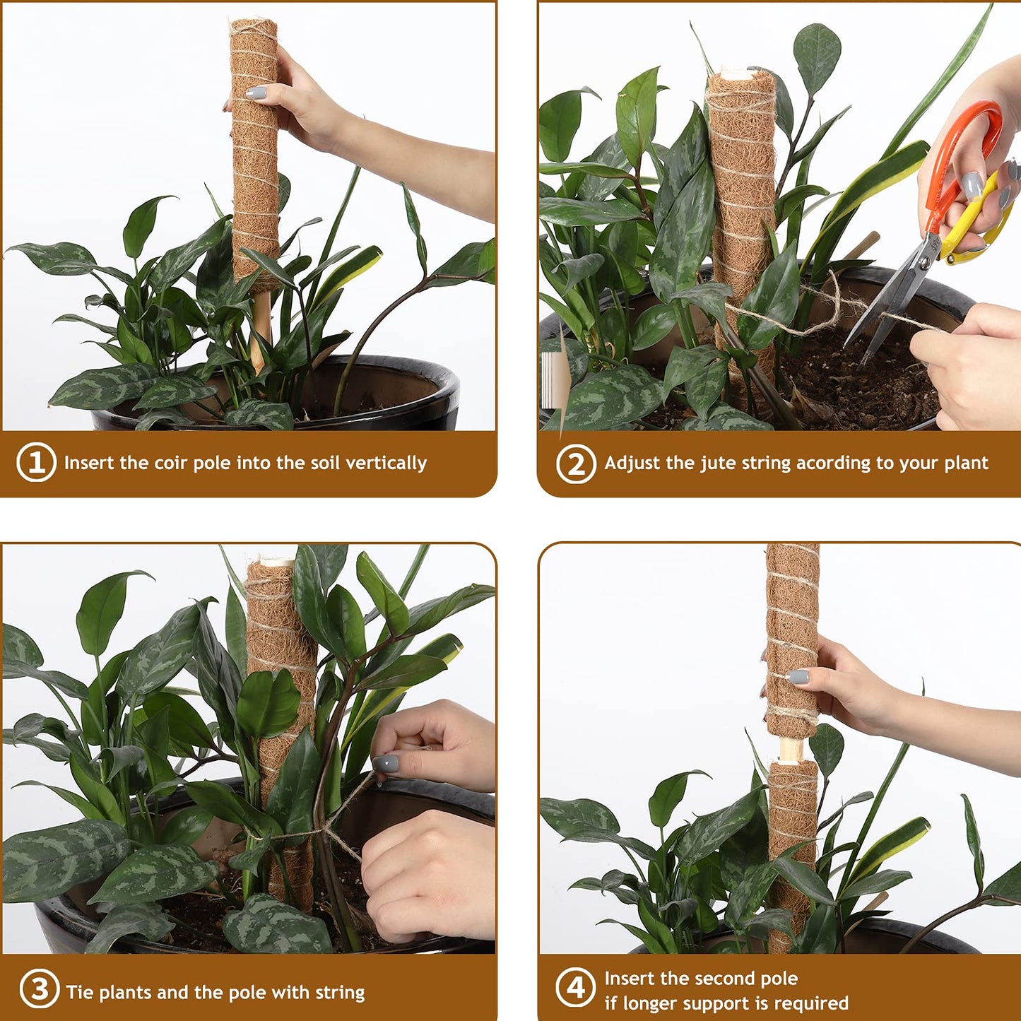 DACHUI 24 Inches Moss Poles for Climbing Plants, 2 Pcs Coco Coir Totem Pole-Support Indoor Plants to Grow Upwards