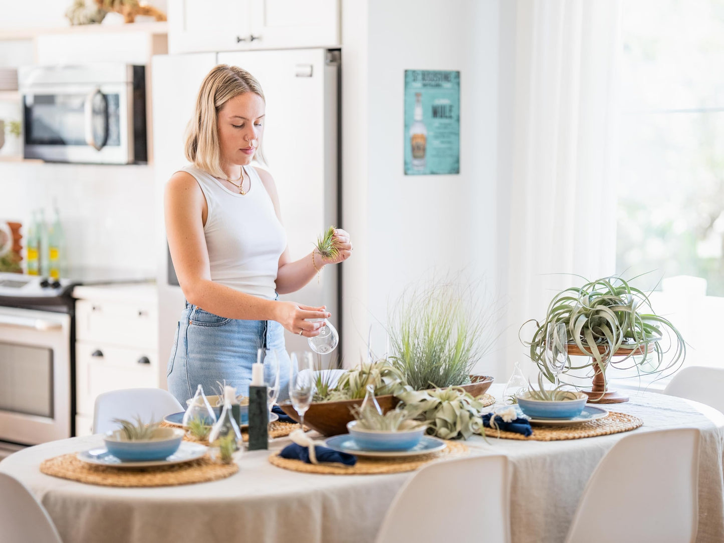 Air Plant Shop Festive Terrarium Air Plants - Wholesale and Bulk - Succulents - Live Tillandsia - Easy Care Indoor and Outdoor House Plants
