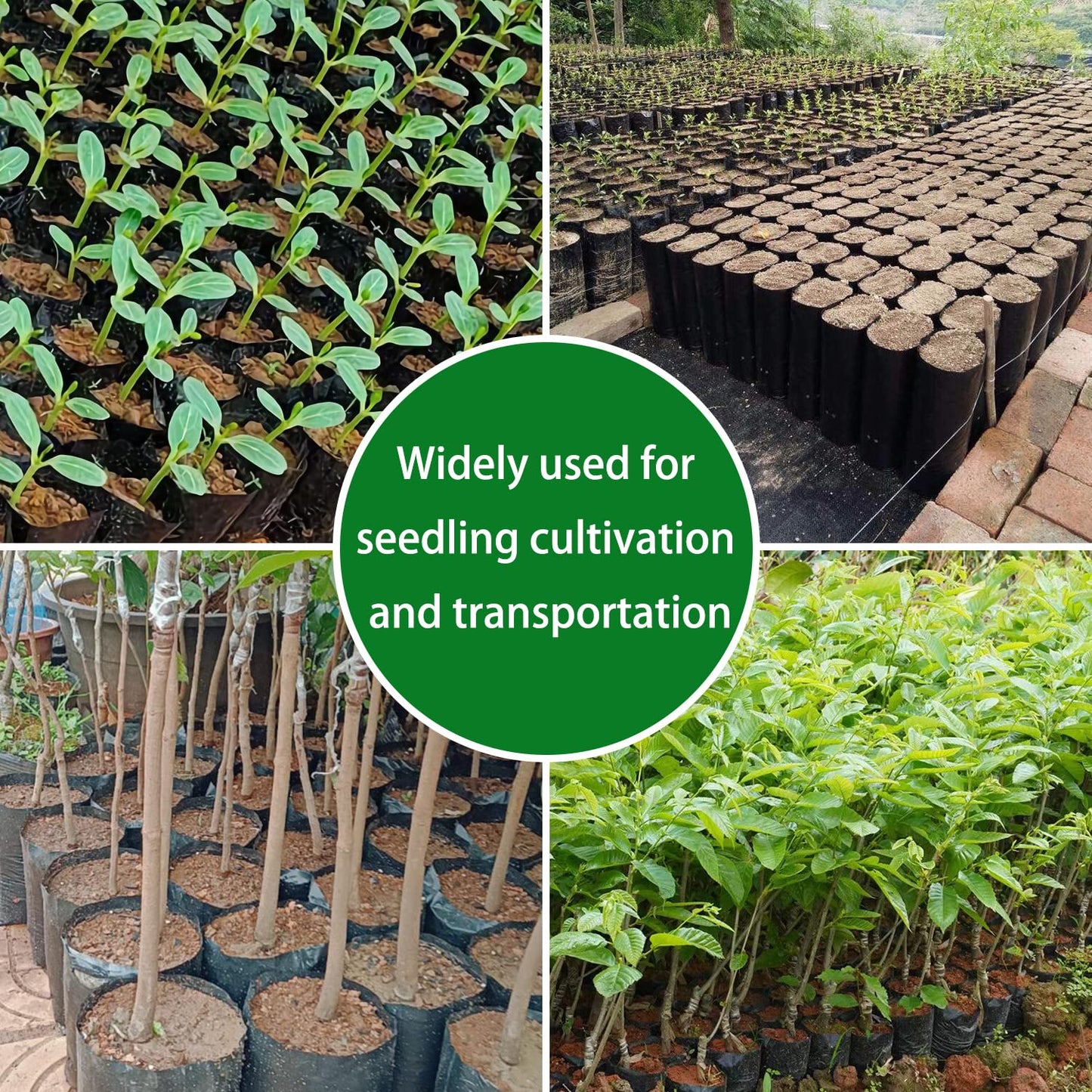 Belit 100 Pcs Plant Nursery Bags, Plastic Seedling Pots Container for Fruit Tree, Flower, Starting saplings, Plant Grow(3.5"x6.6")