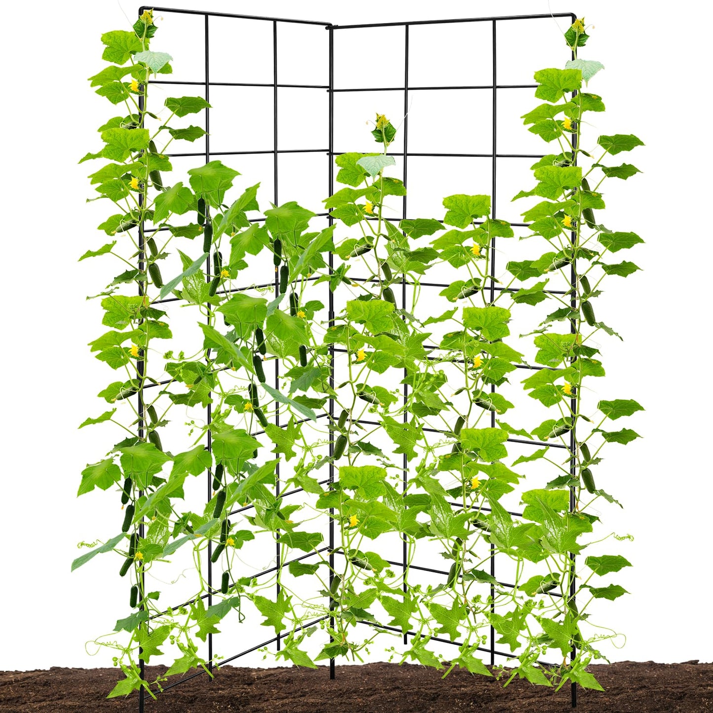 59" H x 31" L Foldable Cucumber Trellis for Climbing Plants,Two Panel Frame Garden Trellis,Raised Bed Vegetables Trellis for Bean,Peas,Grape,Cucumber,Fruit,Flower