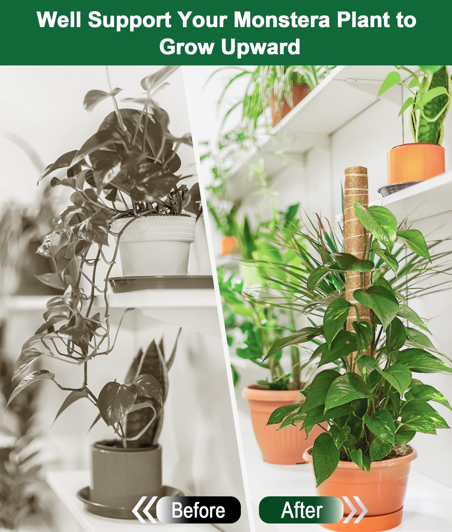 EAONE Moss Pole 126 Inch, 6 Pack 21" Monstera Plant Support for Climbing Potted Live Plants Indoor, Stackable Coco Coir Moss Sticks Monstera Stakes for Pothos Philodendron, with Garden Labels & Ties