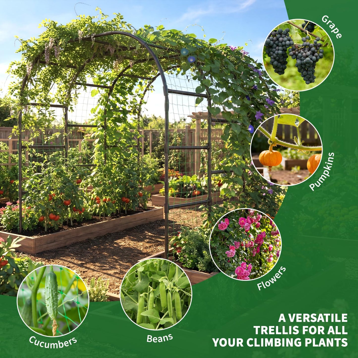 Tall Garden Arch Trellis for Climbing Plants, 88in Tall Metal Plant Support Trellis Archway for Climbing Plant Vegetables Cucumber, Outdoor Yard Lawn Garden Arch Tunnel Trellis