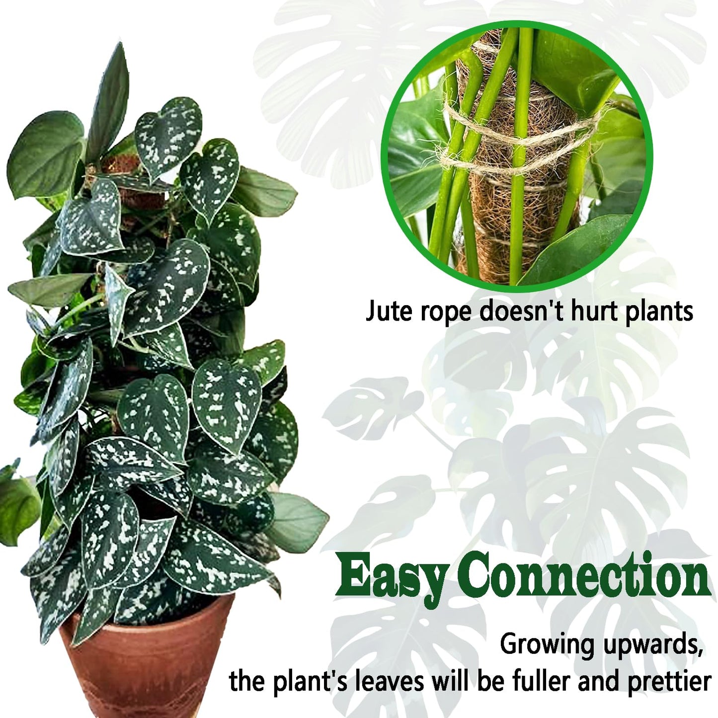Moss Pole Set, Stackable Moss Poles for Climbing Plants Monstera, Tall Plant Sticks Accessories, Large Coir Plant Support Stakes for Potted Plants Indoor, Pothos, Philodendron