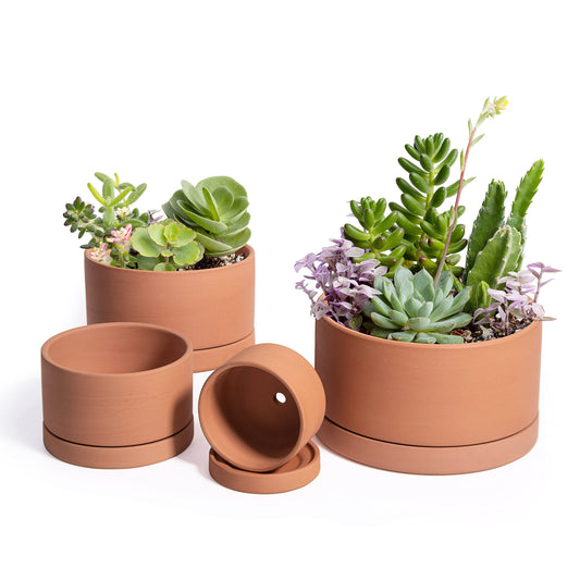 D'vine Dev Set of 4 Terracotta Shallow Planter Pots for Succulent, 3 Inch 4 Inch 5 Inch 6 Inch, Small Flower Plant Pots with Drainage and Saucer, 40-Z-0