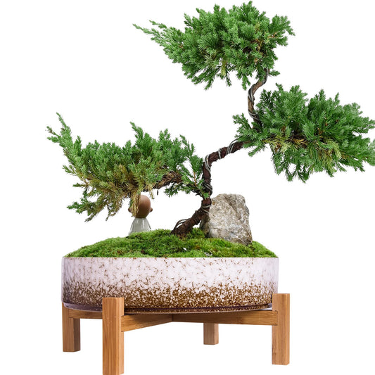 ARTKETTY Succulent Planters - 11 Inch Large Succulent Pots with Drainage, Ceramic Bonsai Pots with Bamboo Stand Shallow Planters for Indoor/Outdoor Plants Modern Cactus Flower Planter Bowl (White)