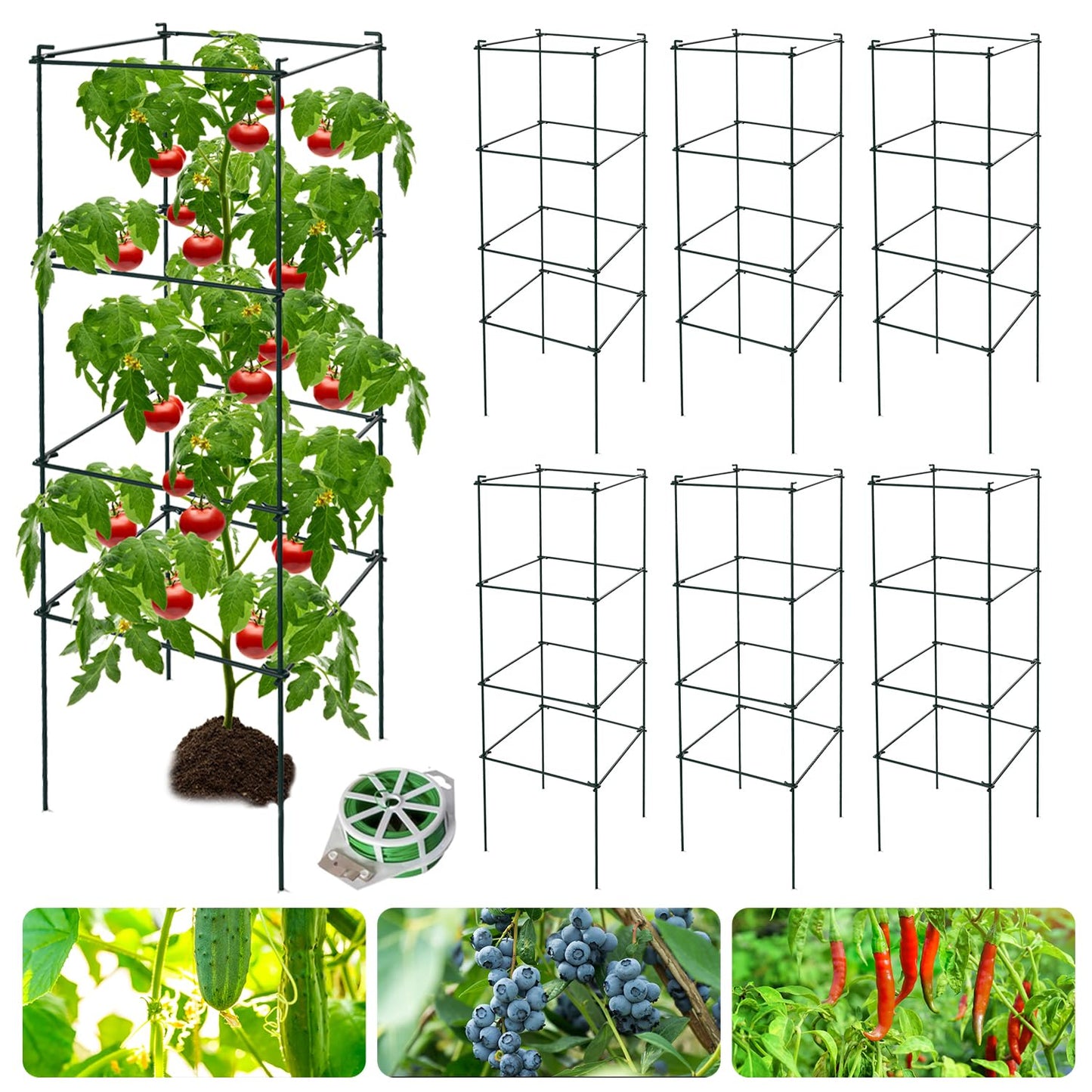 LAKNUAL 6 Packs Tomato Cages for Garden, 12"×12"×39" Plant Support Cage with Different Spacing, Green Metal Trellis for Climbing Plants Like Cucumber, Flowers