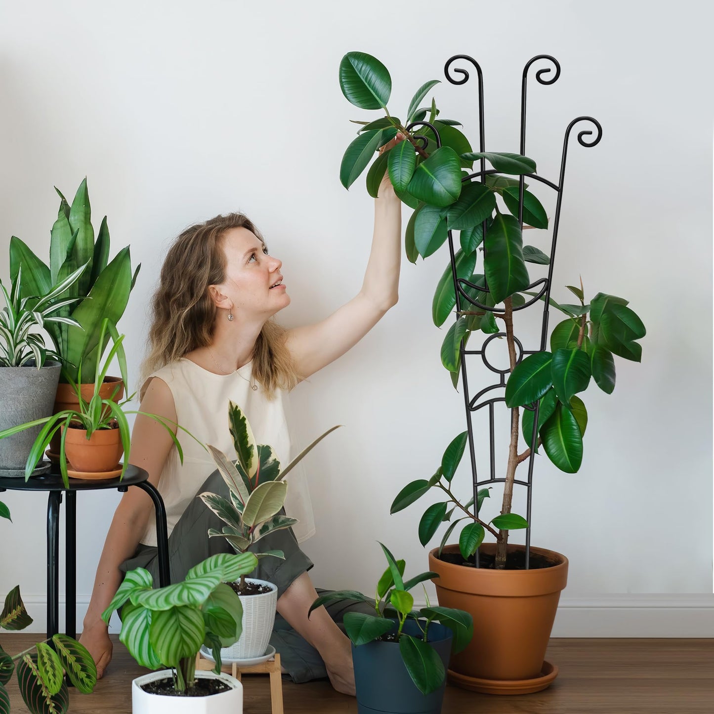 4(Four) Expandable Metal Trellis for Potted Plants, 2(Two) 23in Plant Trellis for Potted Plants and 2(Two) 32.6in Plant Trellis for Climbing Plants Indoor