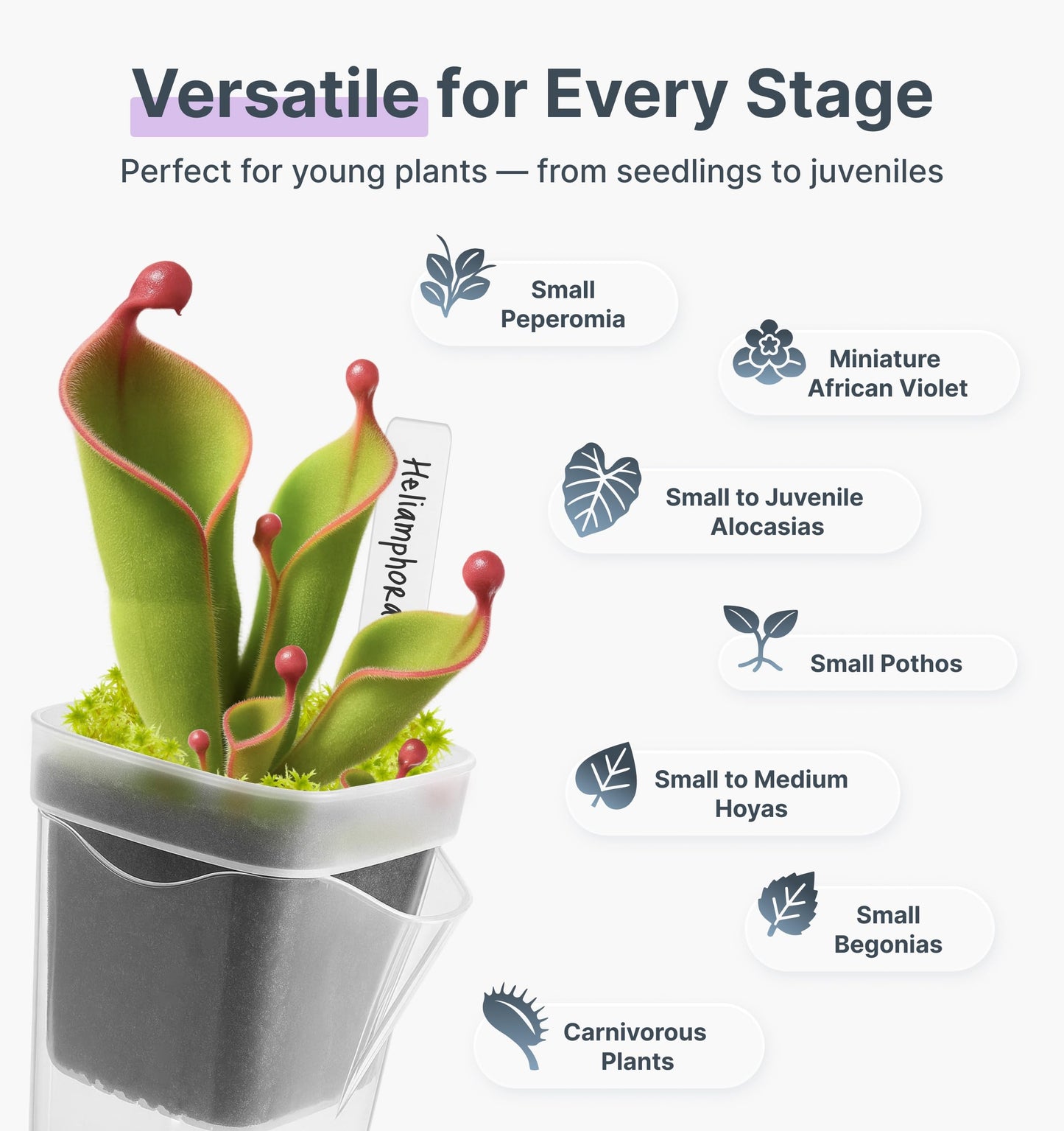 Vandorelle 12 Pack 2.5" Small Self Watering Pots for Indoor Plants, Mini Clear Plastic Planters, Semi-Hydro, Propagation, Cuttings, Seedlings, Hoya, African Violets, Alocasia, LECA, PON,12 Plant Label