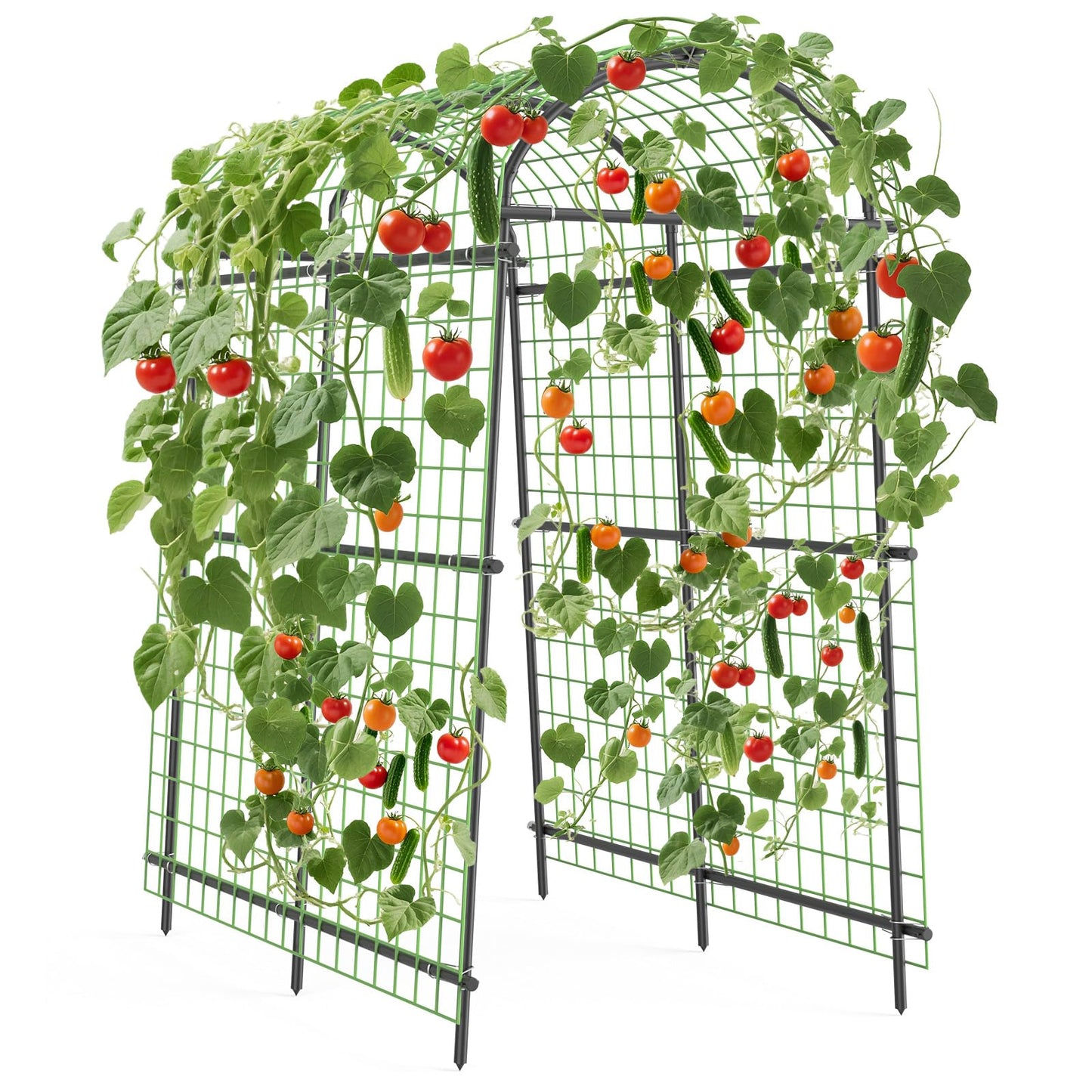 GarveeLife 7.5FT Metal Garden Arch Trellis with Netting, Adjustable 35"–45" Arbor for Climbing Plants, Roses, Grapes & Vegetables, Weatherproof Steel Pergola with Ground Clips, Easy Fold-Out Assembly