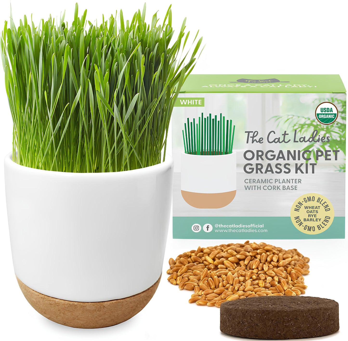 The Cat Ladies Cat Grass for Indoor Cats Kit with Organic Cat Grass Seed Mix, Soil and Ceramic & Cork Planter, Natural Hairball Remedy
