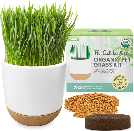 The Cat Ladies Cat Grass for Indoor Cats Kit with Organic Cat Grass Seed Mix, Soil and Ceramic & Cork Planter, Natural Hairball Remedy