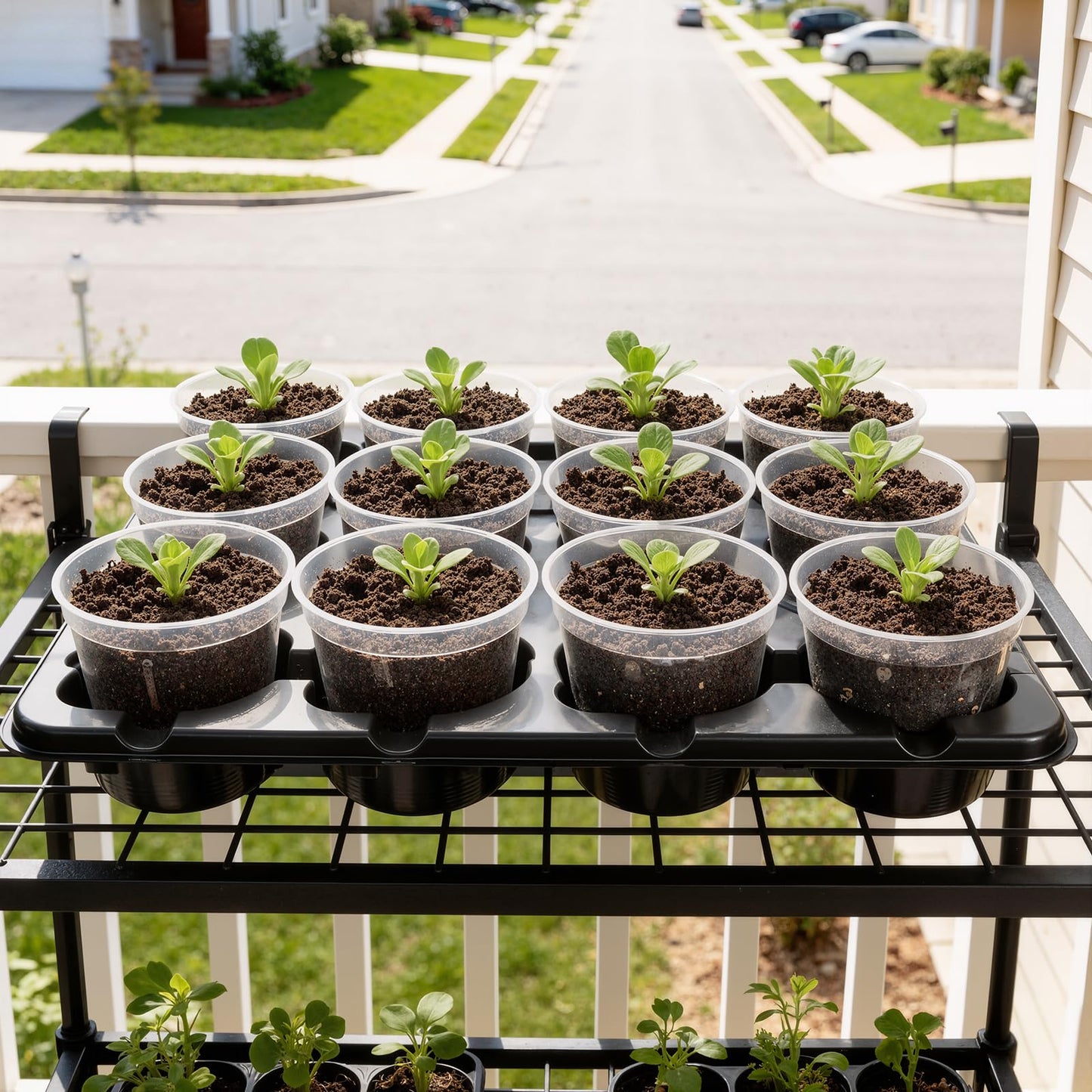 homenote 4 Inch Seed Starting Trays with Clear Nursery Pots, 5-Pack 12-Cell Seedling Starter Trays & 4" Nursery Pots 60 Pcs with Drainage, Plant Starter Germination Trays for Indoor Outdoor Growing