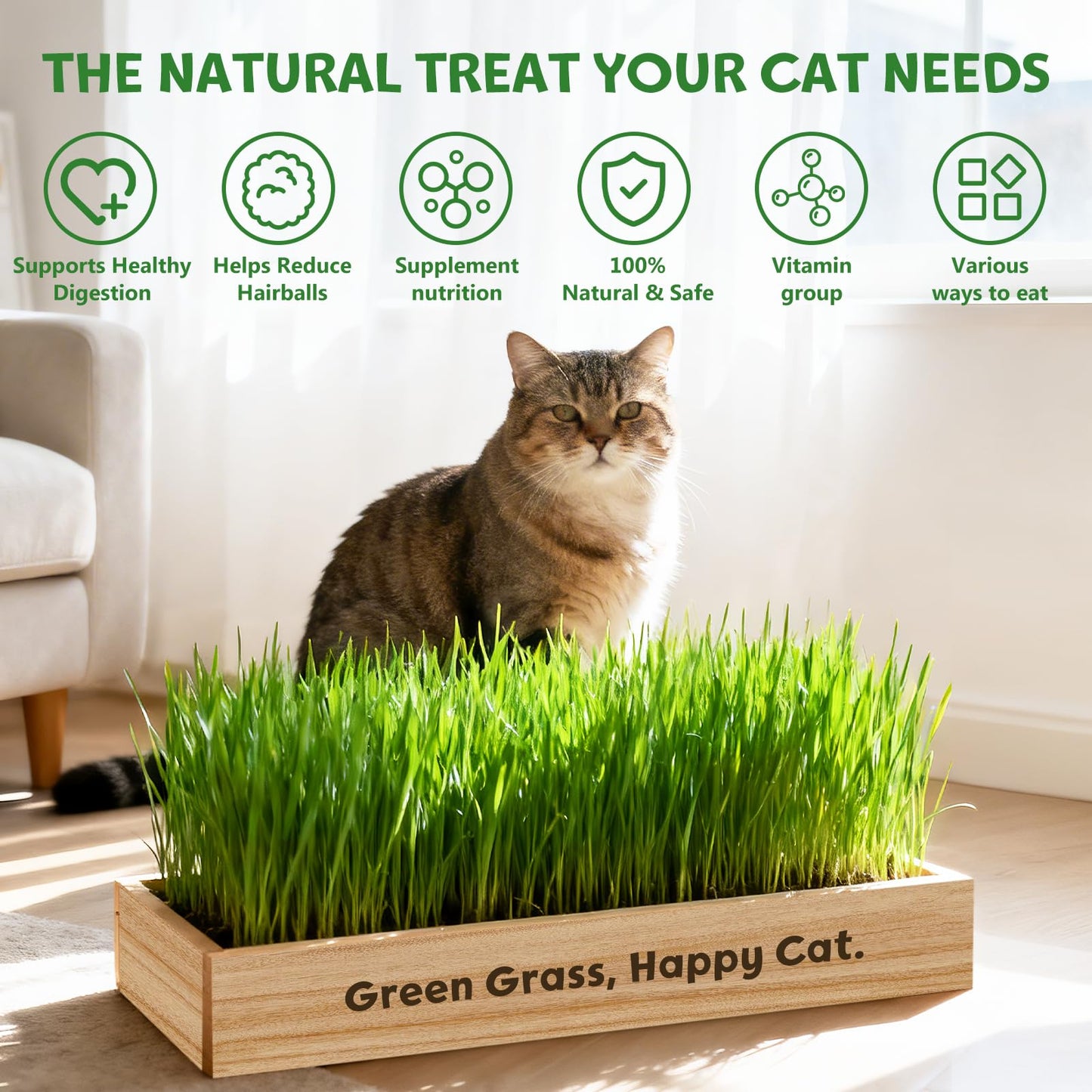 LUOJIBIE Cat Grass Kit for Indoor Cats, Cat Grass Seeds Set, Non-GMO Wheat Grass, Mother' s Day Gifts for Mom, Unique Christmas Birthday Gifts for Women Men Girl, House Warming Gifts for Cat Lover