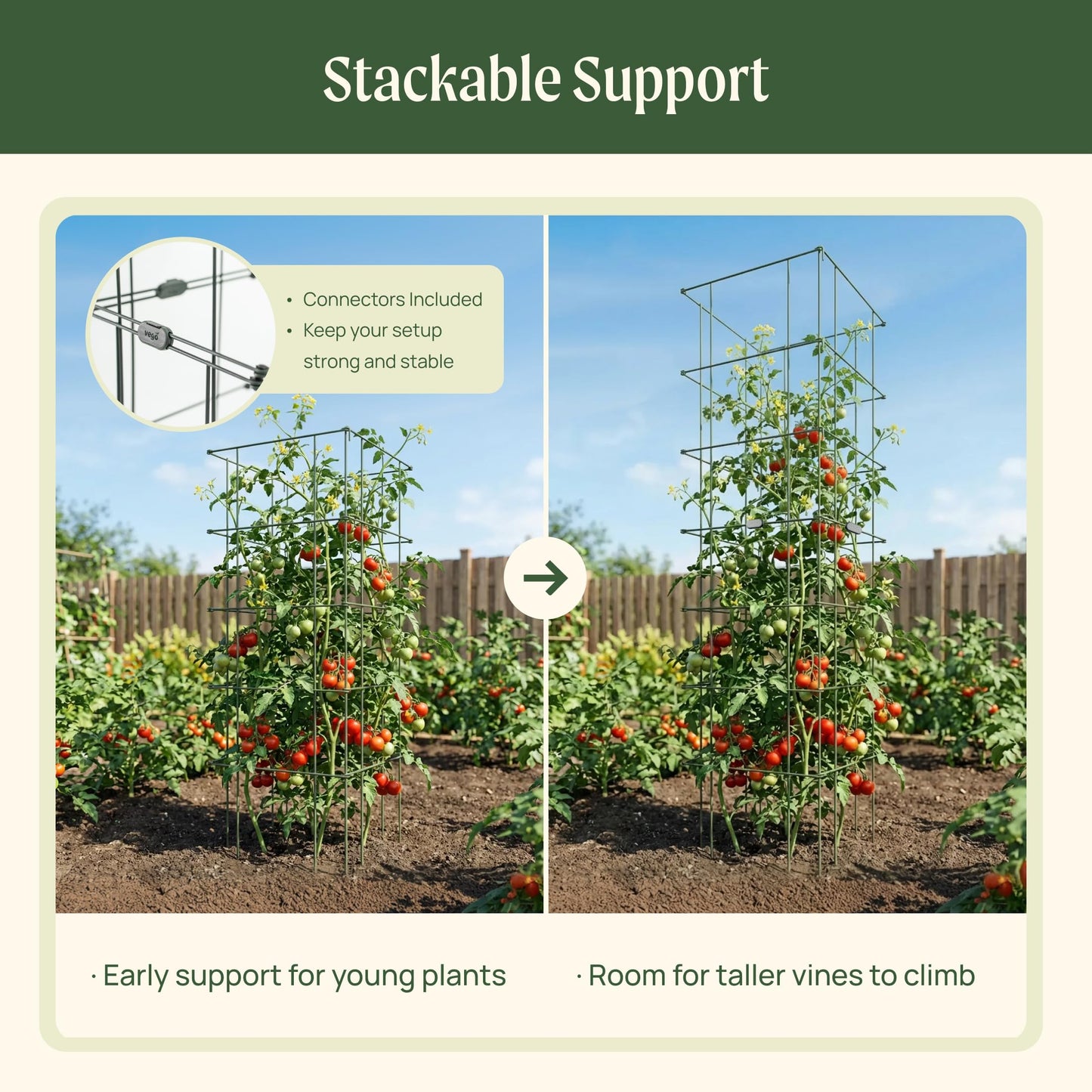 Vego Garden 3 Pack Tomato Cage 14.5"x 58" Square for Garden & Pots, Rust-Resistant Tomato Stackable Heavy Gauge Plant Cage Trellis Support for Climbing Vegetables Plants