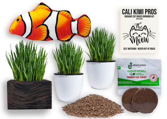 Cali Kiwi Pros Cat Grass for Indoor Cats – Organic Grass Kit with Interactive Flippy Fish Toy (Wicker Brown)