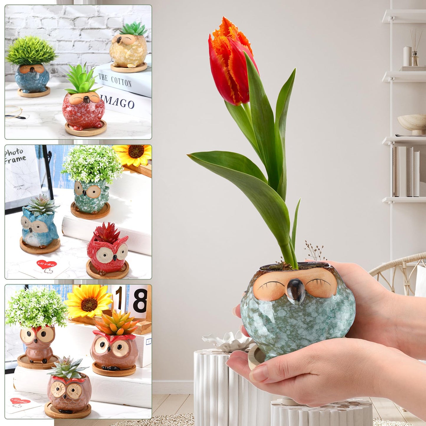 Cindeer 18 Pcs 2.5 Inch Owl Ceramic Succulent Planter Pots Mini Small Ceramic Pots with Drainage Hole and Bamboo Tray for Succulents Glaze Cactus for Home Garden Office Desk Decoration Gift Ideas