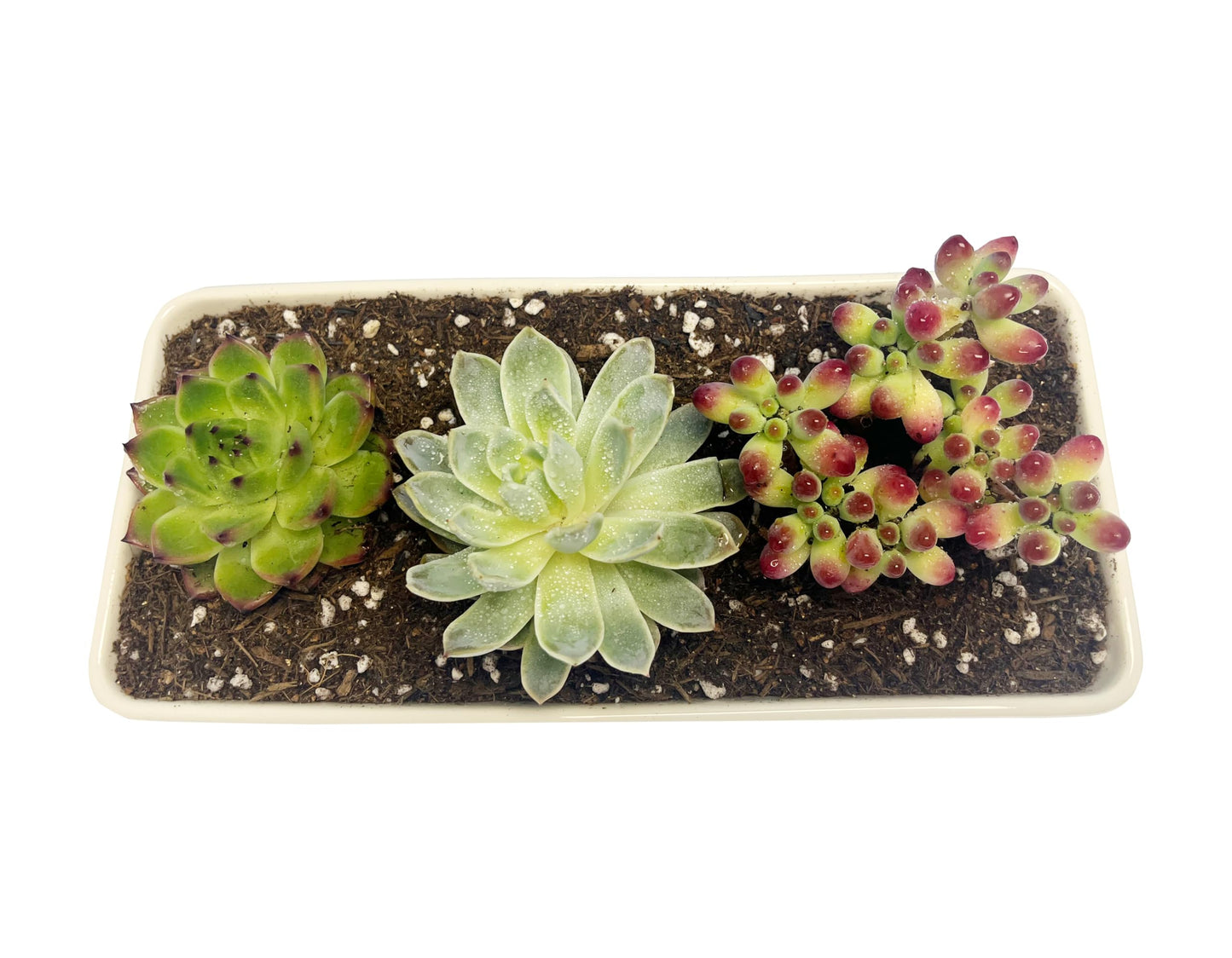 Kipokalor Rectangular White Ceramic Succulent Planter Pot,one Set of 10.19x4.64x3.22inch Modern Minimalist with Ceramic Saucer for Office,Desk,Window.