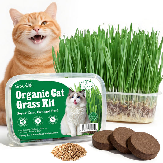 Groundio Cat Grass Seeds, All in 1 Cat Grass Growing Kit for Indoor Cats, Organic Wheat & Oat Seed with 98% High Germination Rate, Heirloom | Non-GMO | Coco Coir | BPA Free Container
