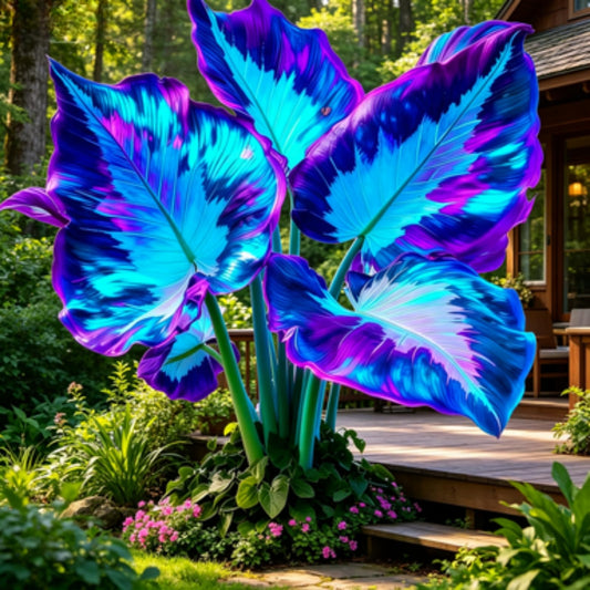 JWDSKT Elephant Ear Alocasia-Outdoor Decor-Instant Curb Appeal-Ideal for Shade Gardens, Low Maintenance, Colorful Leaves (6)