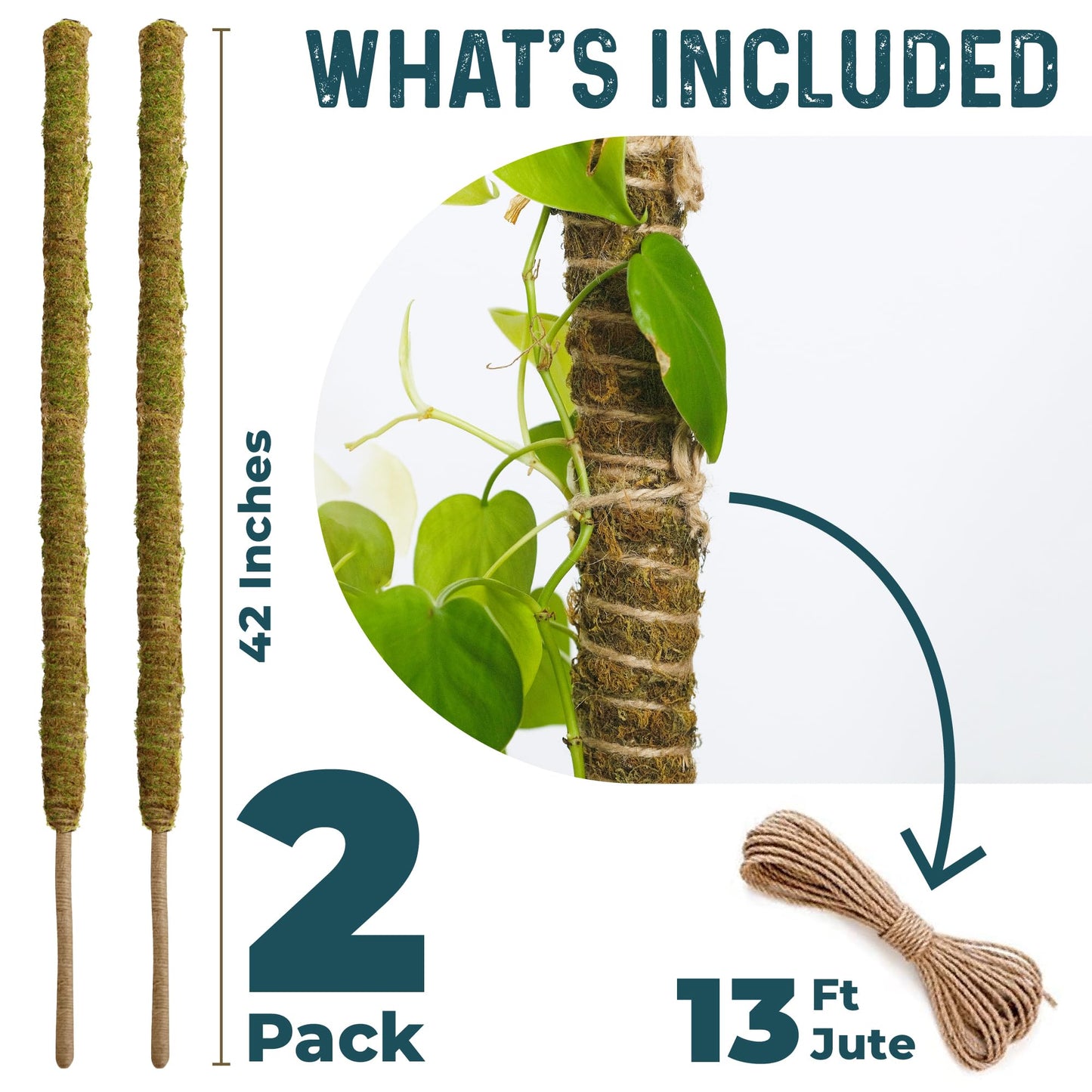 K-Brands 4 Pack Forest Moss Coco Coir Bundle - 2 x 42'' + 2 x 63'' Monstera Plant Support - Moss Poles for Climbing Plants Monstera - Plant Pole Plant Sticks Support