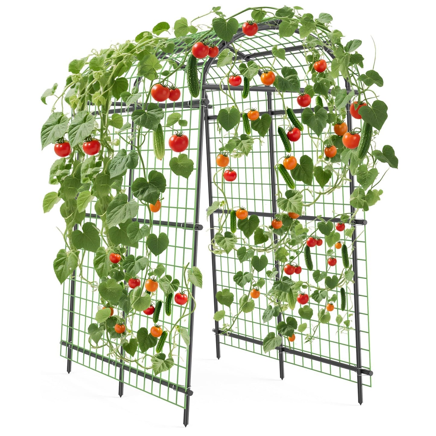 7.3 ft Metal Garden Arch Trellis, Plant Support for Raised Beds, PE and Iron Trellis for Cucumbers and Climbing Vegetables