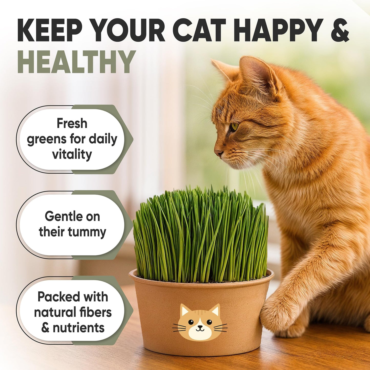 Cat Grass Kit for Indoor Cats – x3 Seed Packets | Cat Grass Seeds with Recyclable Planter & Coconut Coir Expanding Soil Discs – Wheatgrass Grass