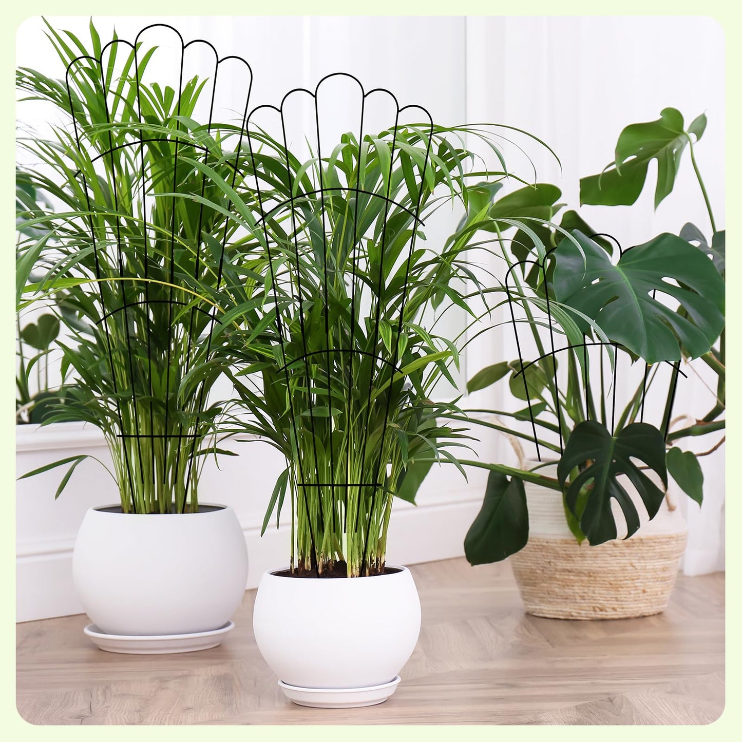 LEIFIDE 2 Pcs 33in Plant Trellis for Climbing Plants Indoor, Expandable Large Metal Trellis for Potted, Heavy-Duty Tall Rustproof Houseplant Support for Flowers Vine Ivy Pothos Hoya Monstera